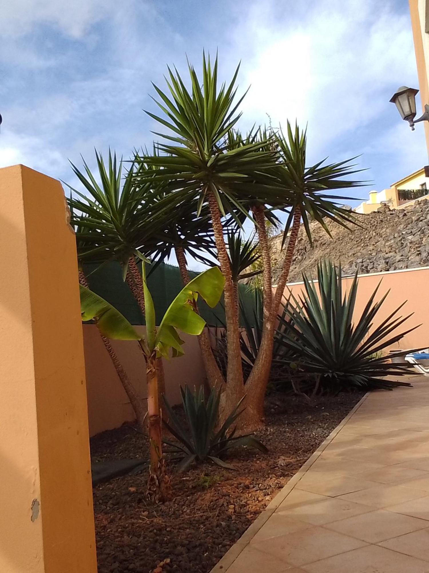 A Casa Di Ilaria Hostel คอร์ราเลโฮ ภายนอก รูปภาพ